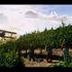 Image for article titled The Coolest Things We Spotted in the GTA V Trailer